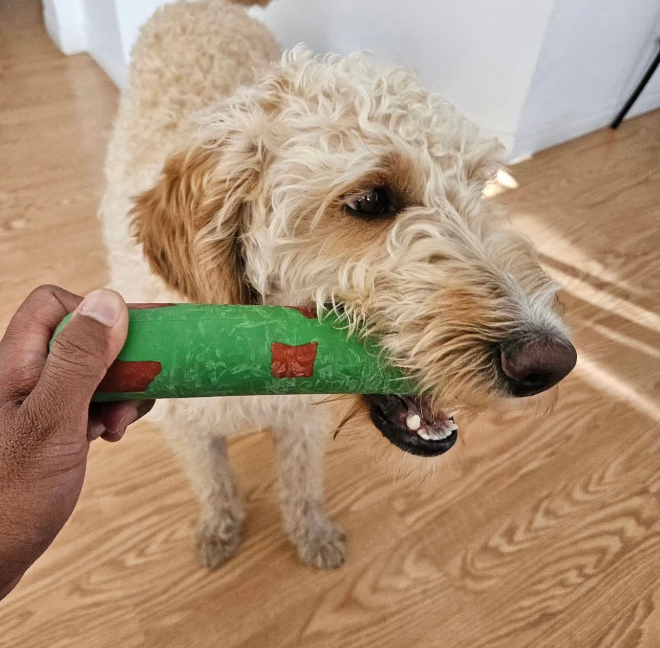 Goughnuts Medium Stick
