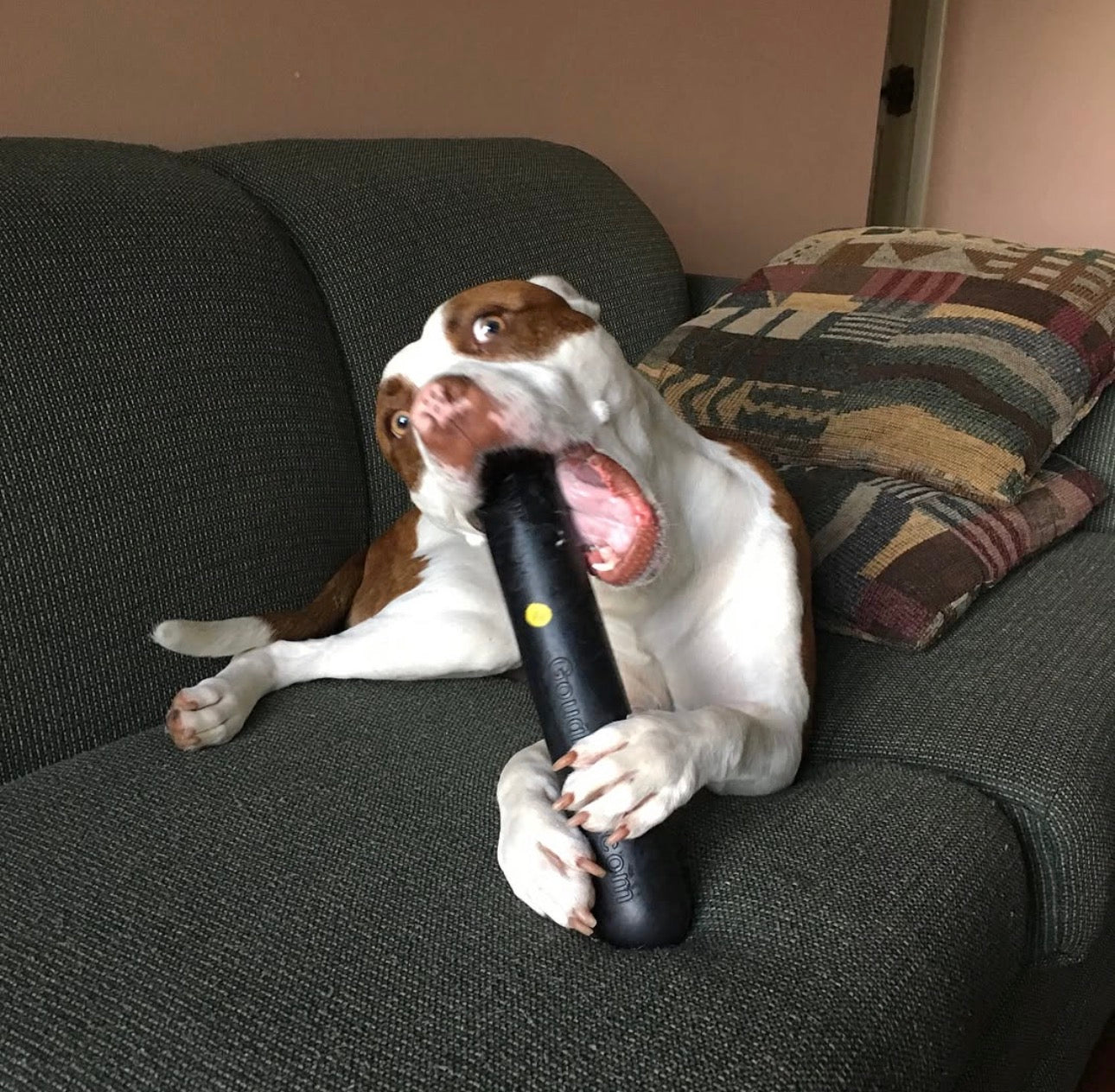 Goughnuts Heavy Duty Stick Large