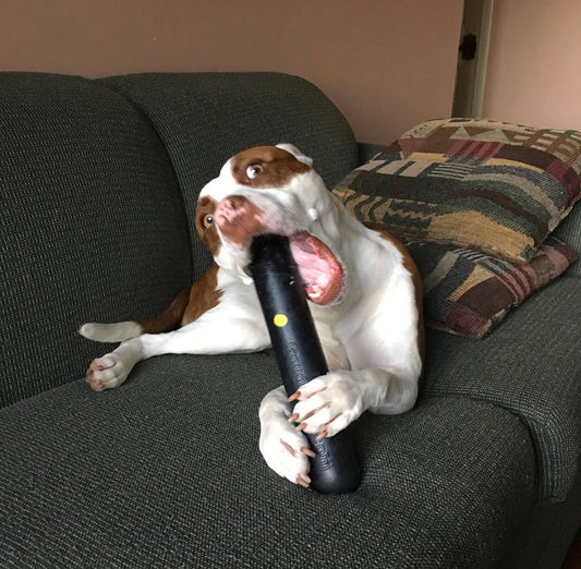 Goughnuts Heavy Duty Stick Large