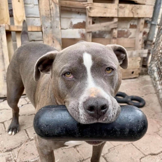 Goughnuts Heavy Duty Stick XL