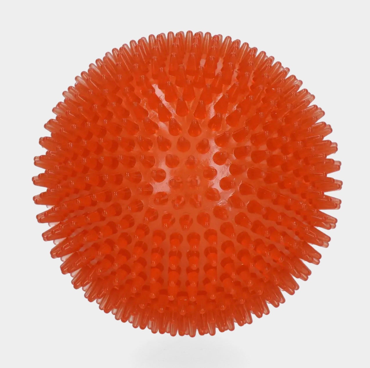 Dog Comets Exoplanet Orange Large