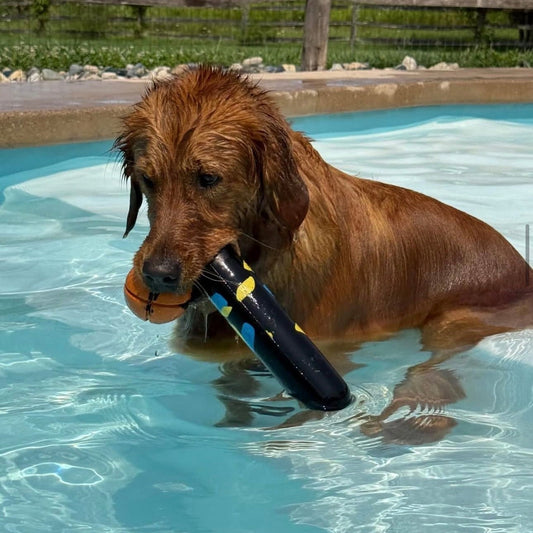 Goughnuts Large Water Stick (Summer special)