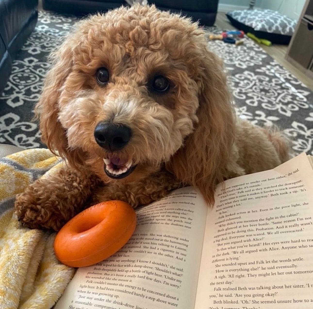 Goughnuts Orange Extra Small Puppy Ring
