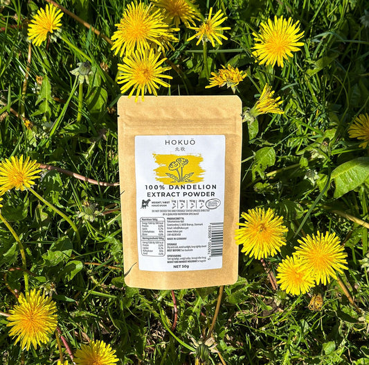 Dandelion extract powder