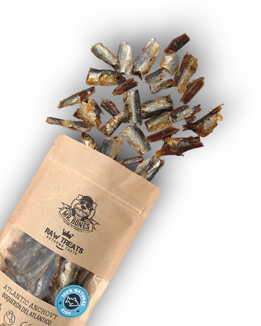 Raw Treat Ansjovis