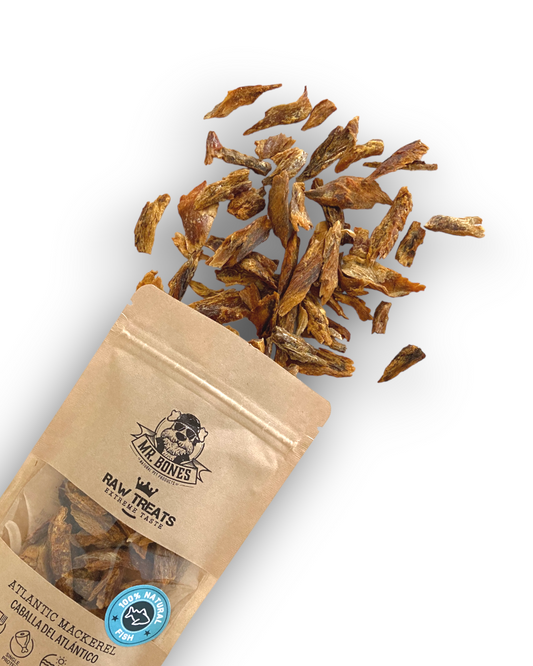 Raw Treats Makreel
