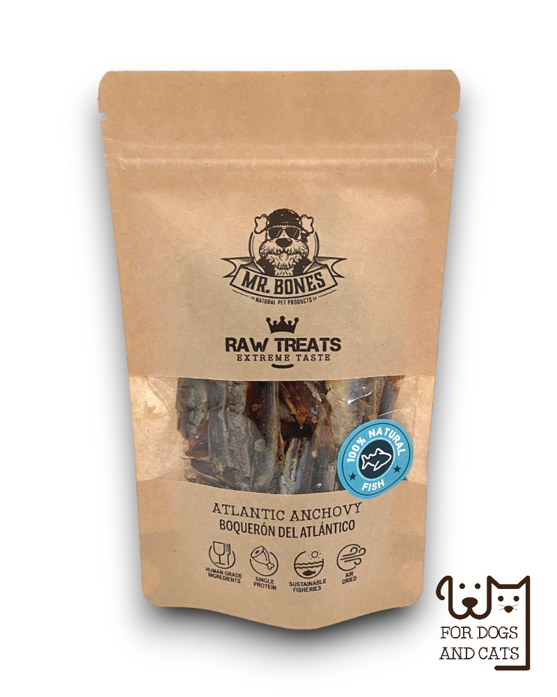 Raw Treat Ansjovis