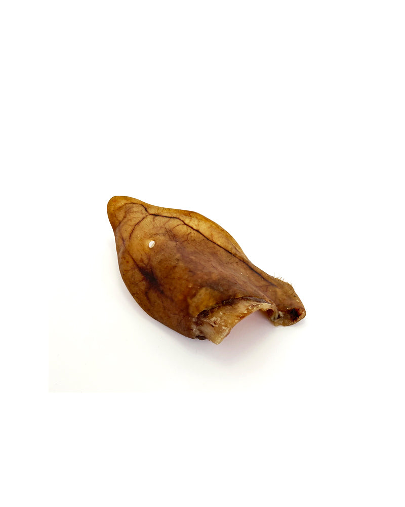 Varkensoor